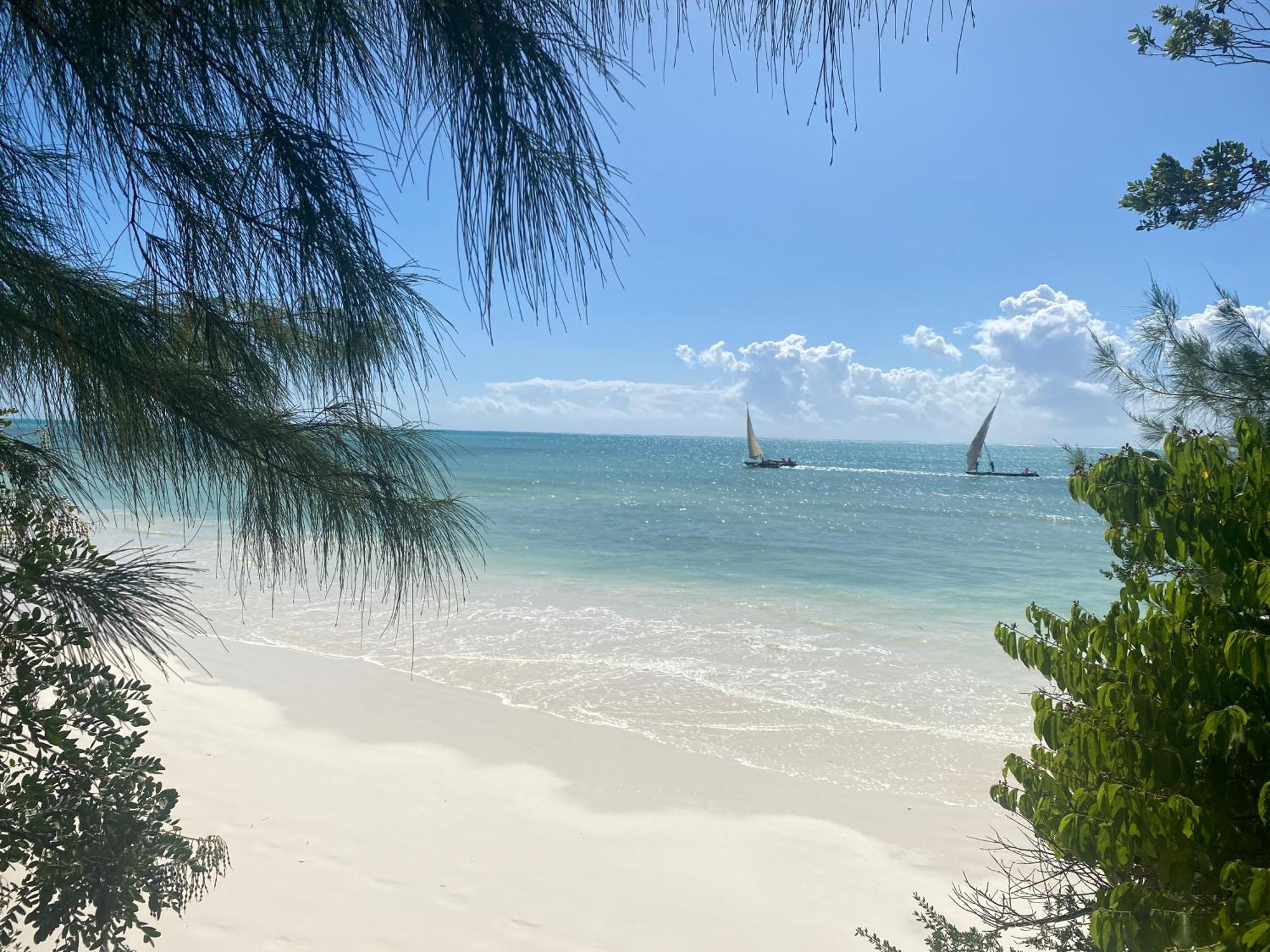 Mbuyuni Beach Village ジャンビアニ エクステリア 写真