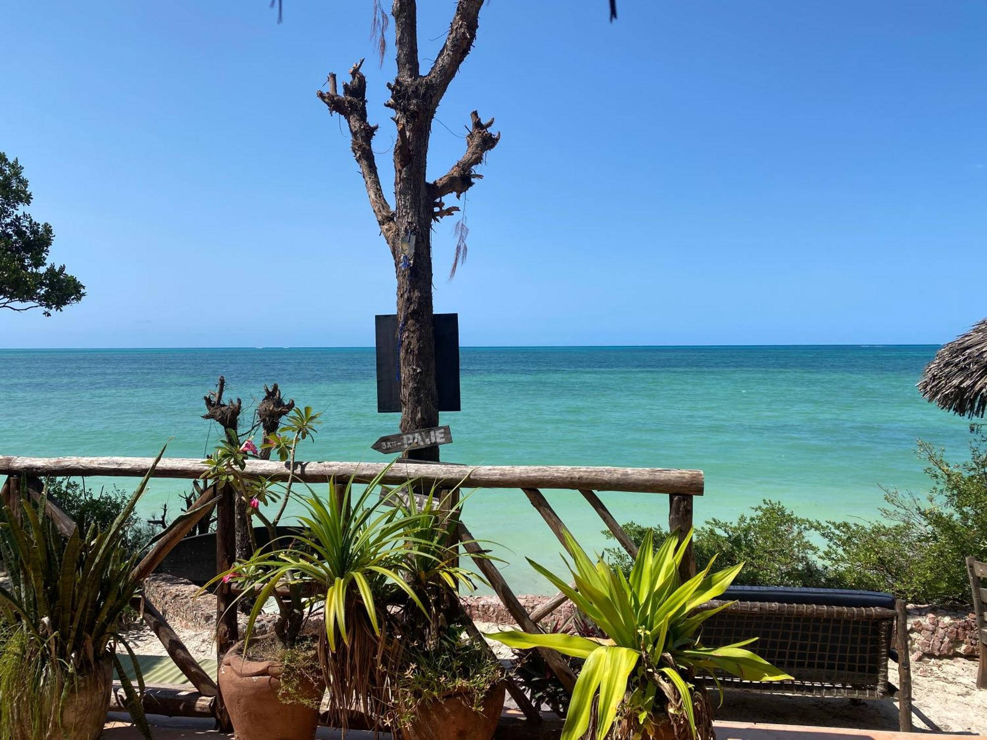 Mbuyuni Beach Village ジャンビアニ エクステリア 写真