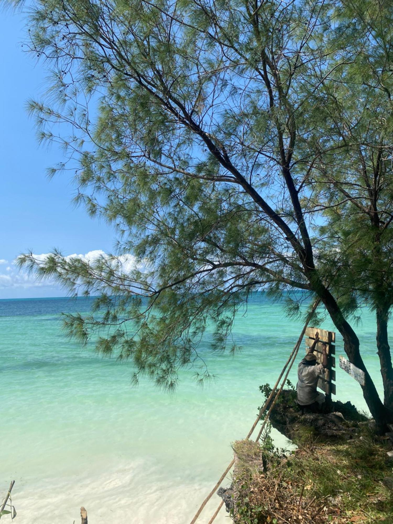 Mbuyuni Beach Village ジャンビアニ エクステリア 写真