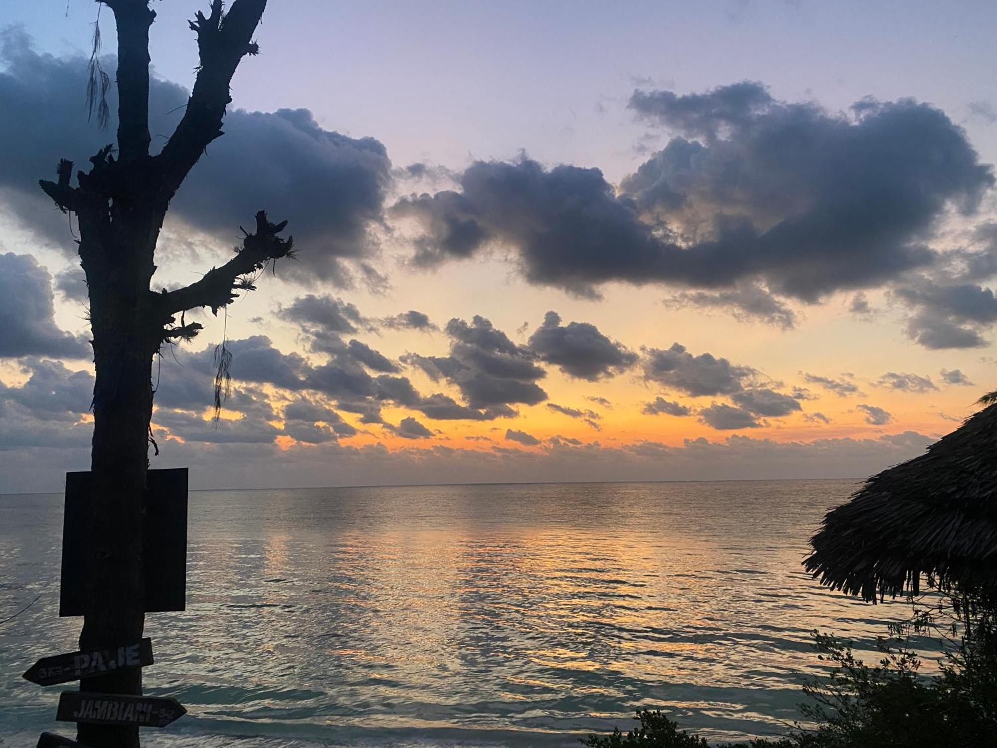Mbuyuni Beach Village ジャンビアニ エクステリア 写真