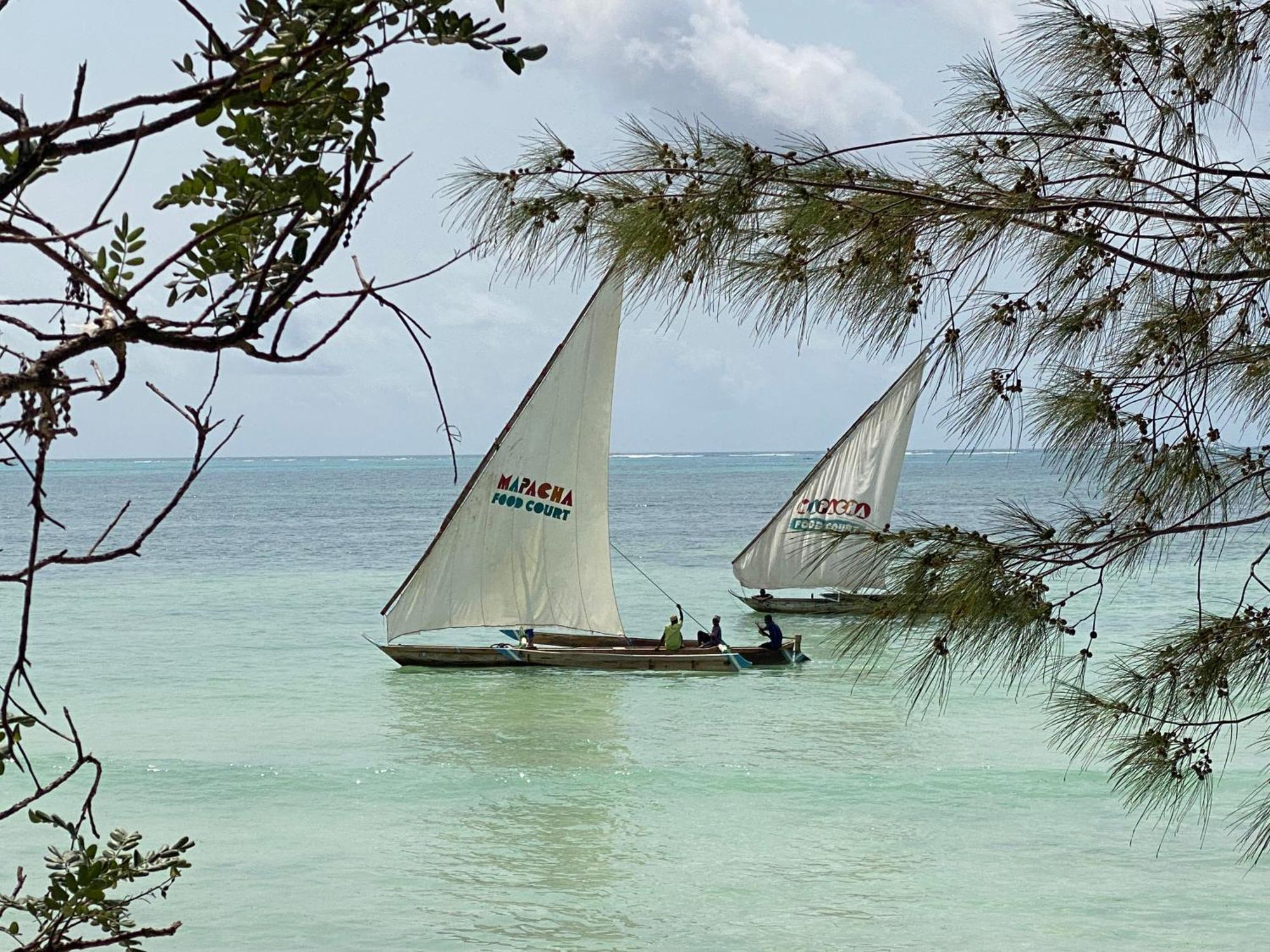Mbuyuni Beach Village ジャンビアニ エクステリア 写真