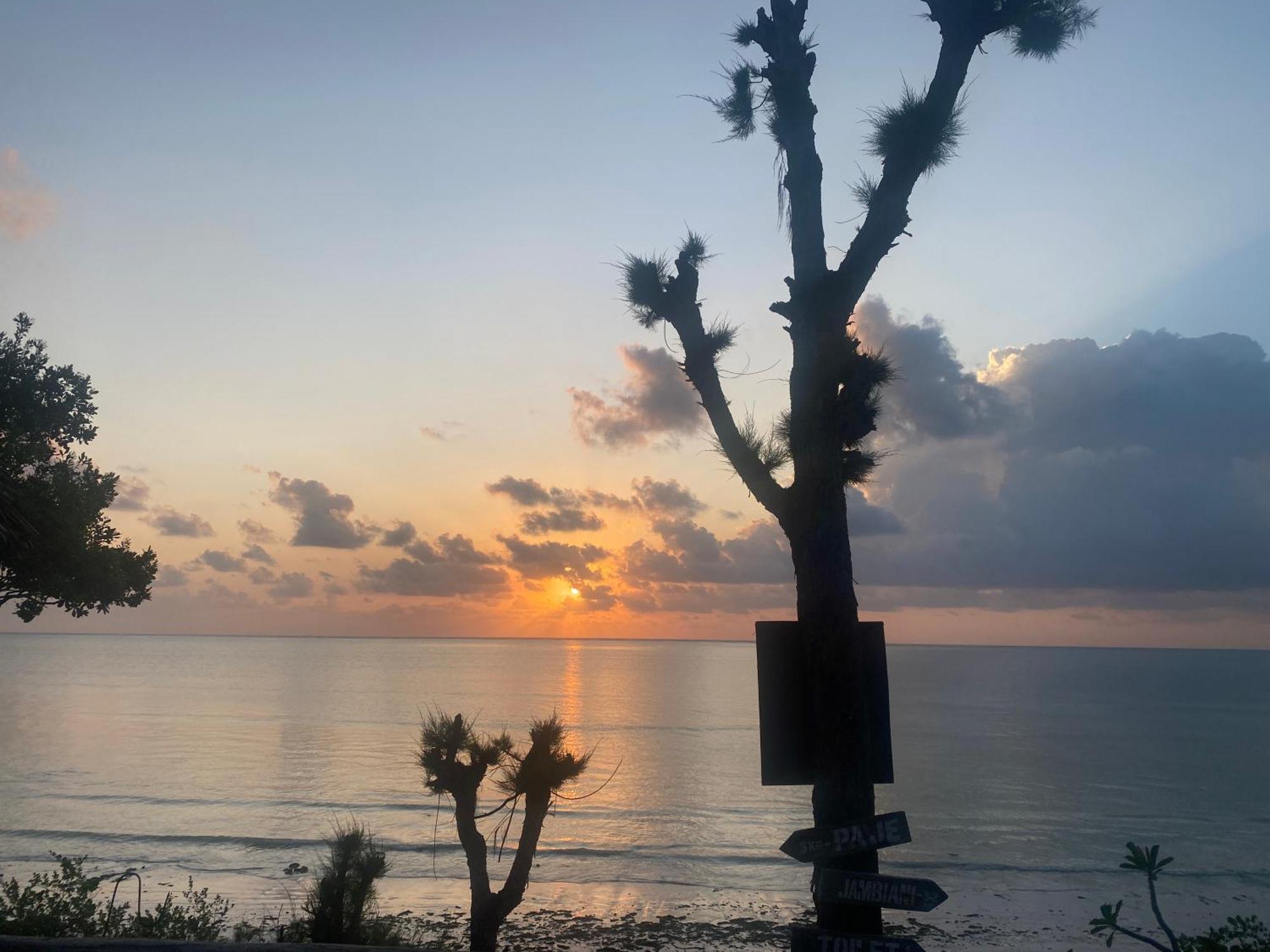 Mbuyuni Beach Village ジャンビアニ エクステリア 写真