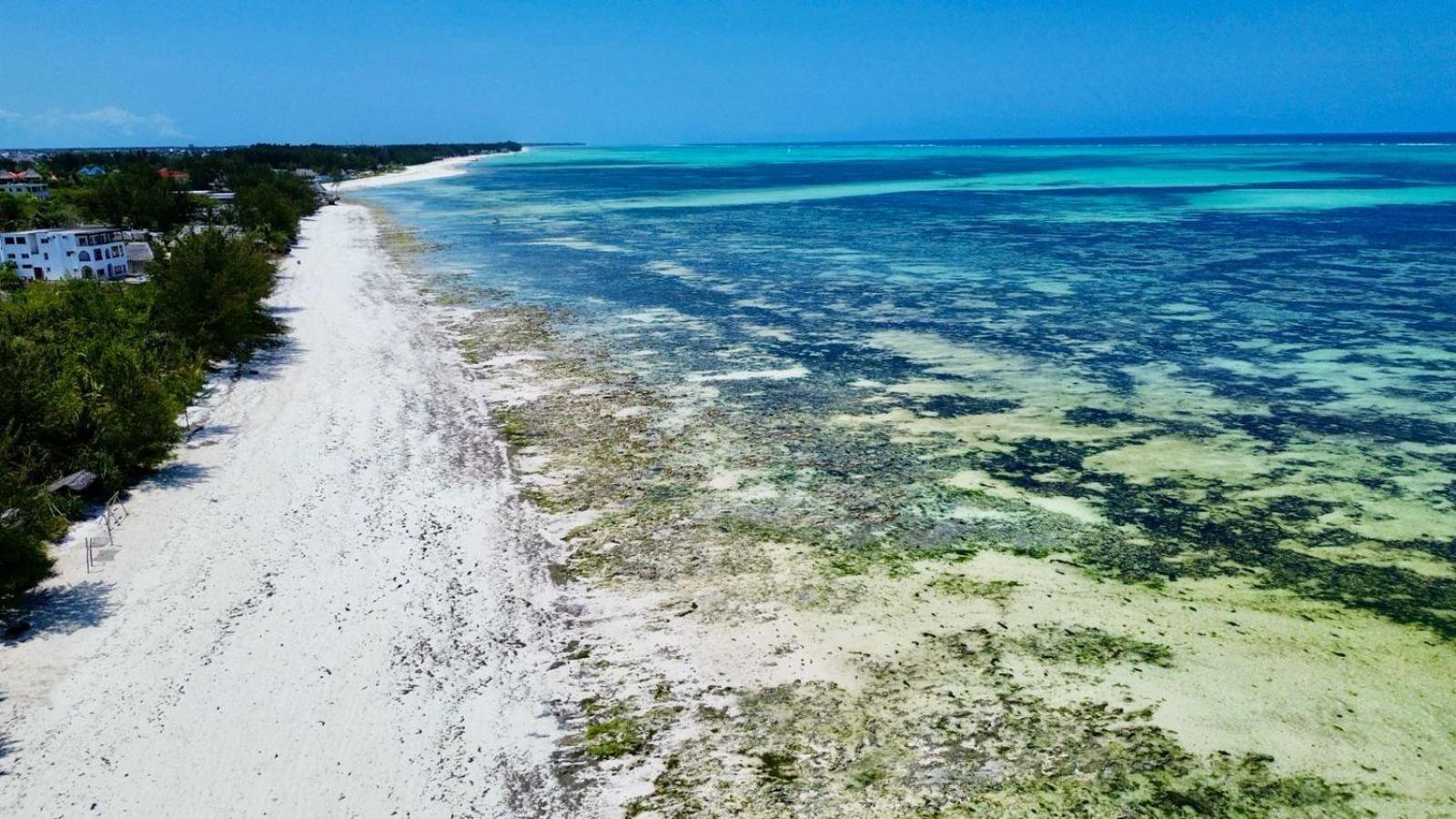 Mbuyuni Beach Village ジャンビアニ エクステリア 写真